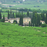 Lavagno (VR) Villa Contarini