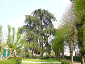 Pressana-Parco Villa Gaudio