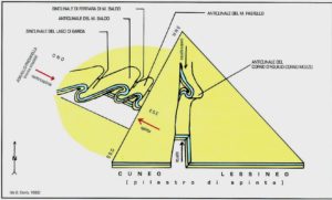 "Schema dei sollevamenti geologici che hanno modellato il Monte Baldo e i Monti Lessini" (da G. Corrà e B.Pighi, 1996)